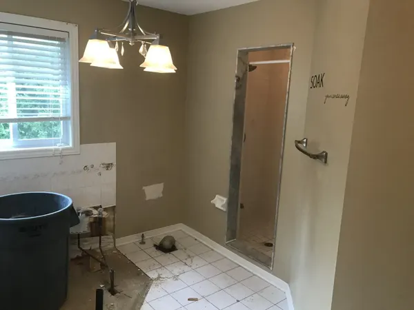 Bathroom fixtures and floor removed for renovation